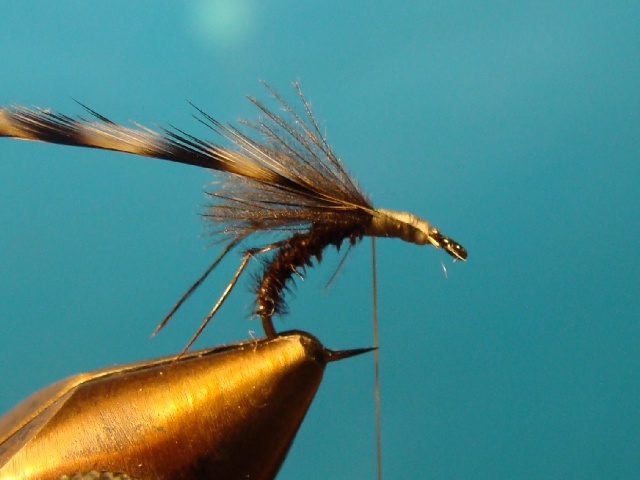 Midge WME
