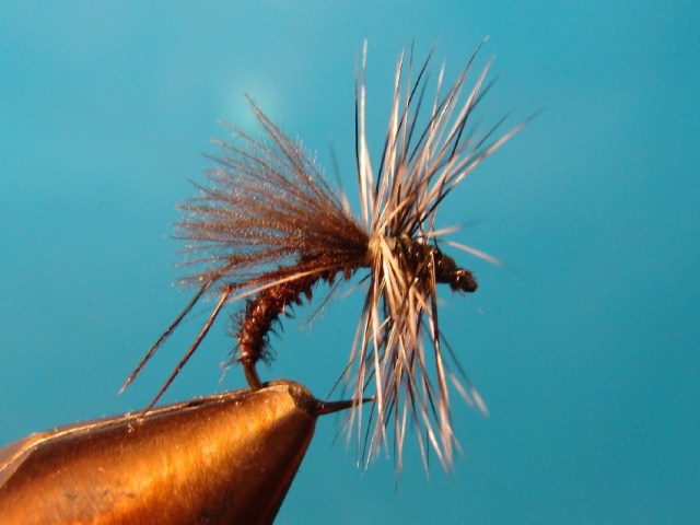 Midge WME