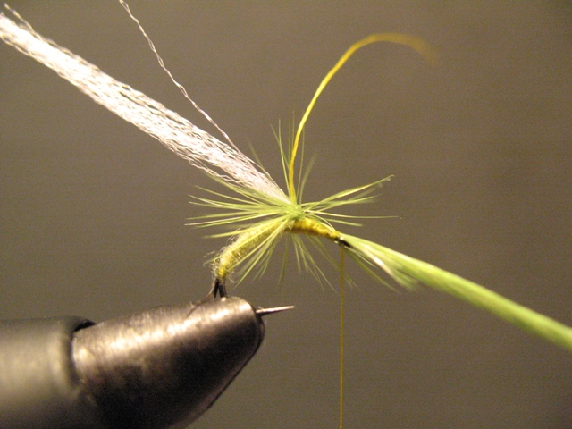 Olive Paraloop Emerger