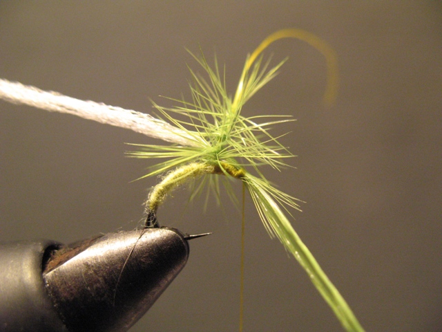 Olive Paraloop Emerger