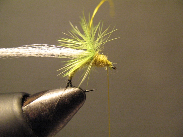 Olive Paraloop Emerger
