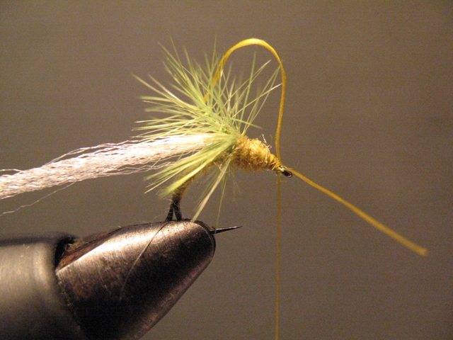 Olive Paraloop Emerger
