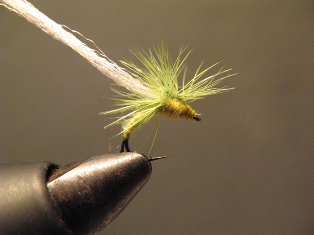 Olive Paraloop Emerger