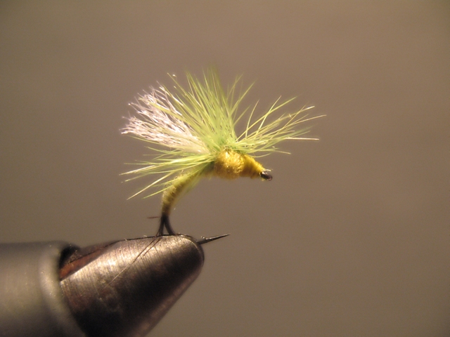 Olive Paraloop Emerger