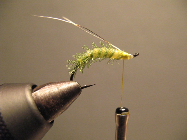 Organza & CDC Sedge Pupa
