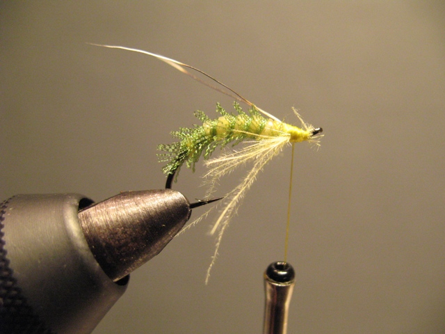 Organza & CDC Sedge Pupa