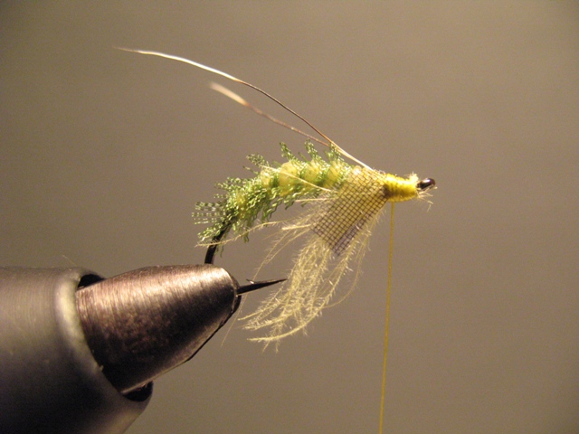 Organza & CDC Sedge Pupa