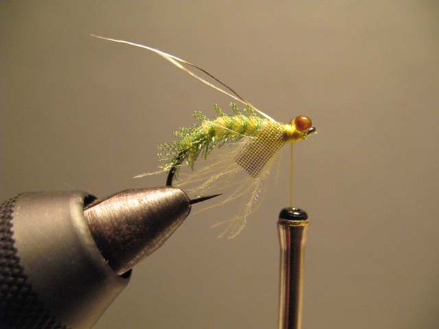 Organza & CDC Sedge Pupa