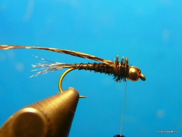 Нимфа PBP Gold Head VZ