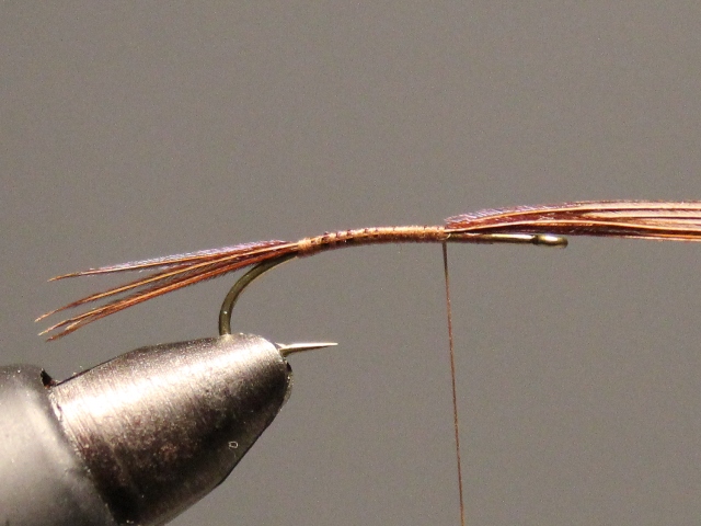 Pheasant Tail Nymph VU