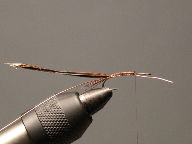Pheasant Tail Nymph VU