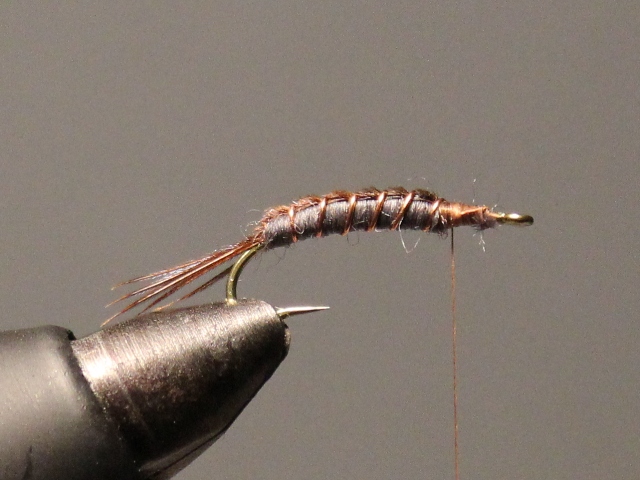 Pheasant Tail Nymph VU