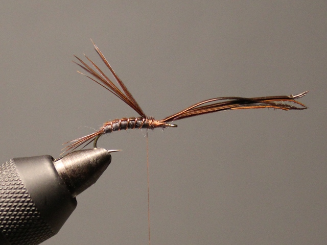 Pheasant Tail Nymph VU