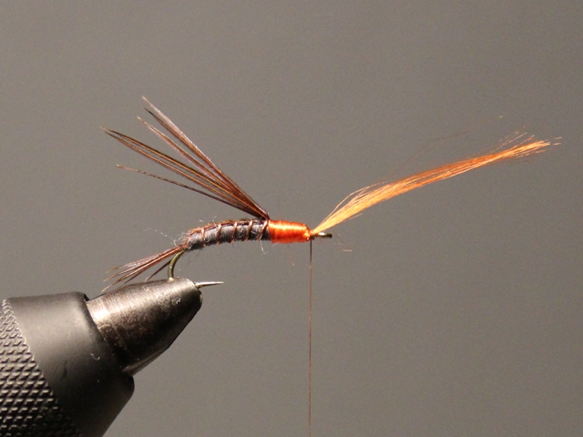 Pheasant Tail Nymph VU