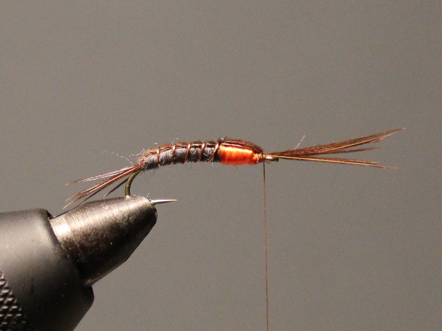 Pheasant Tail Nymph VU