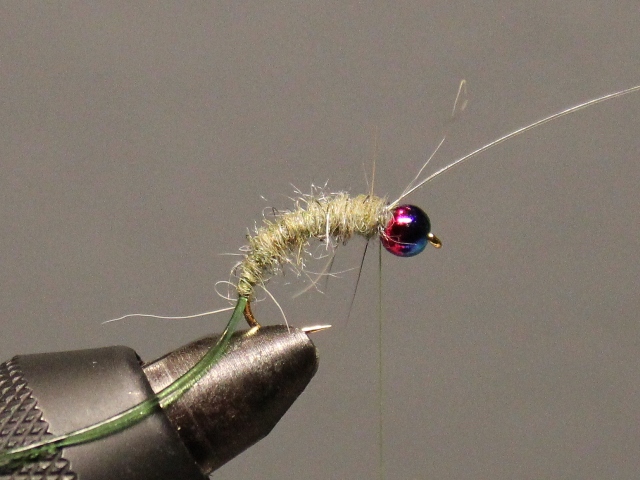 Parachute Nymph