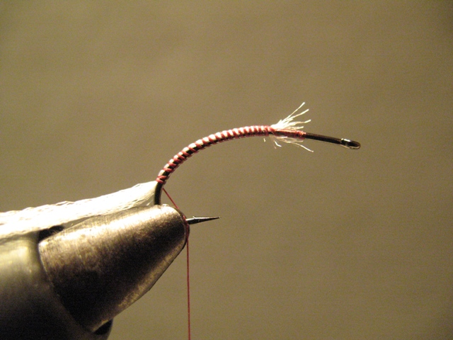 Paraloop Emerging Mayfly