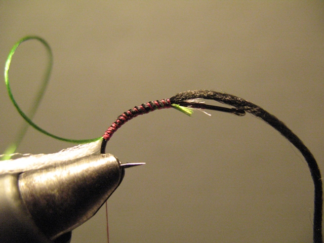 Paraloop Emerging Mayfly