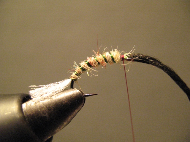 Paraloop Emerging Mayfly