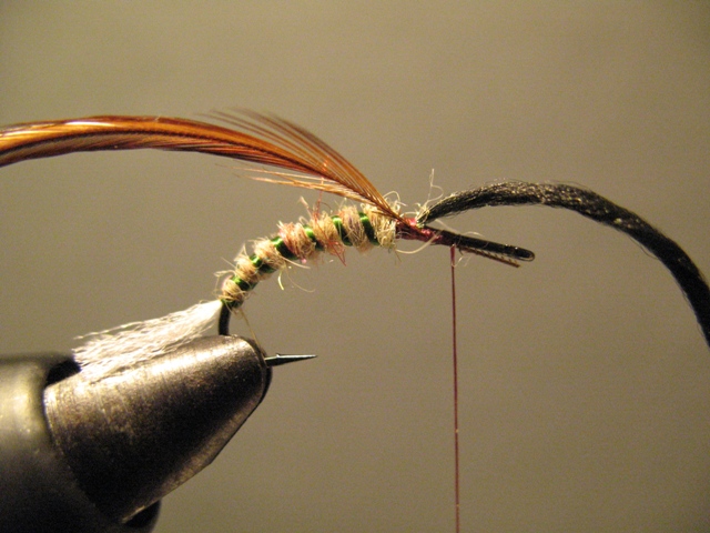 Paraloop Emerging Mayfly