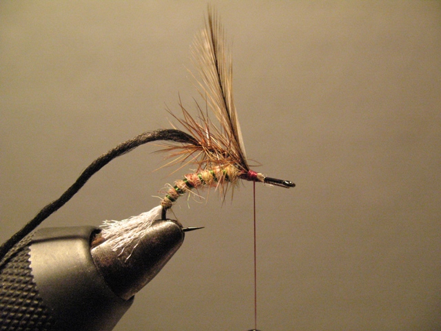 Paraloop Emerging Mayfly