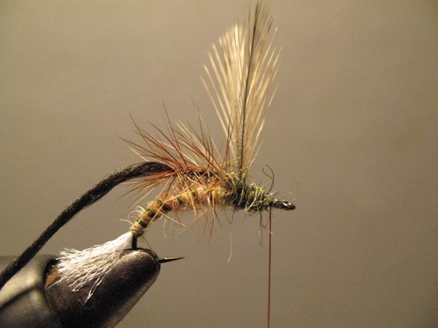 Paraloop Emerging Mayfly