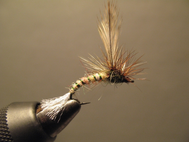Paraloop Emerging Mayfly