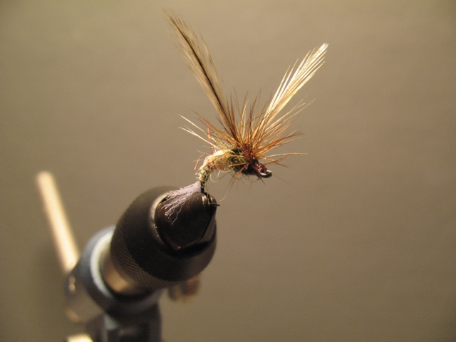 Paraloop Emerging Mayfly