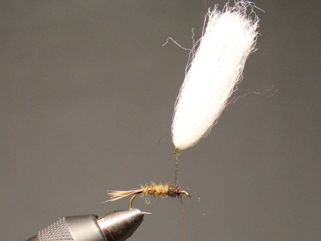Parasol Emerger
