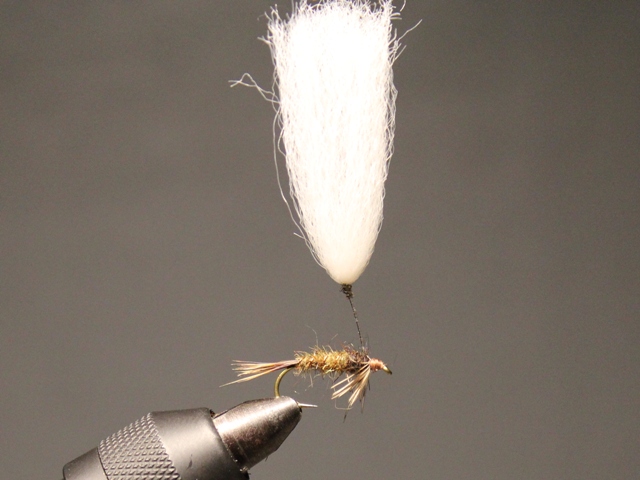 Parasol Emerger