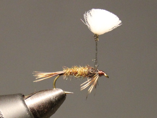Parasol Emerger