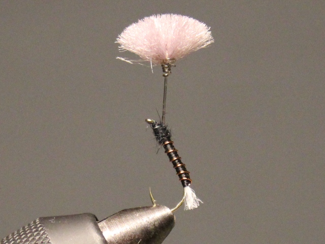 Parasol Emerger