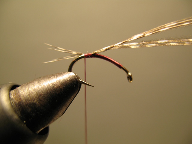 Quill Nymph