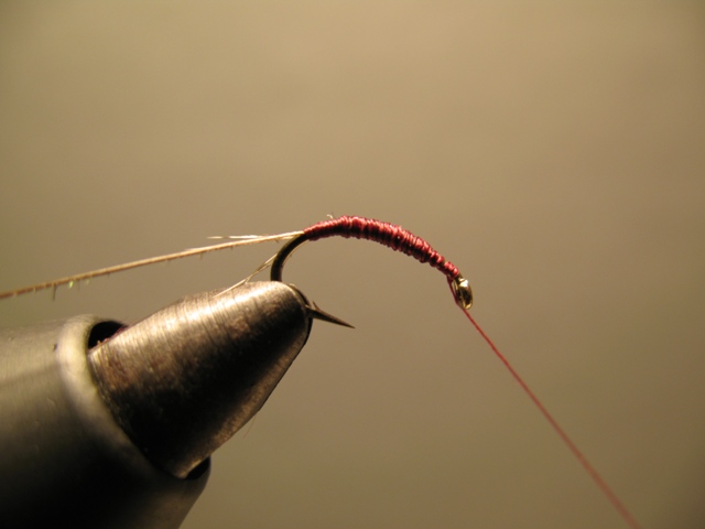 Quill Nymph