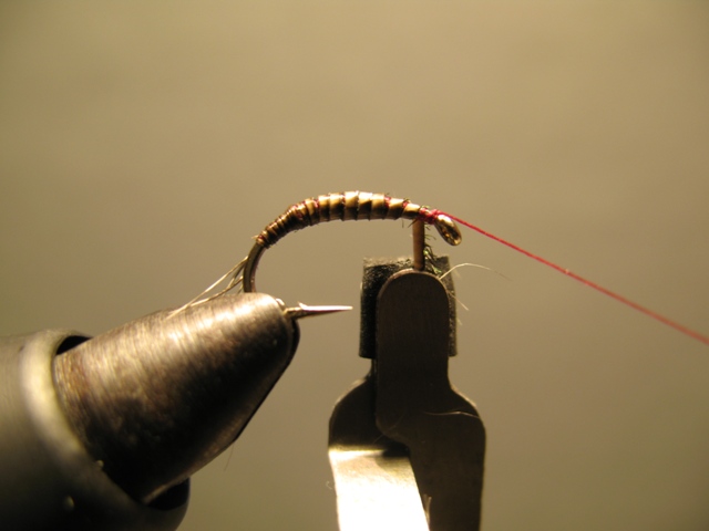 Quill Nymph