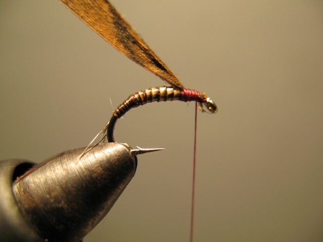 Quill Nymph