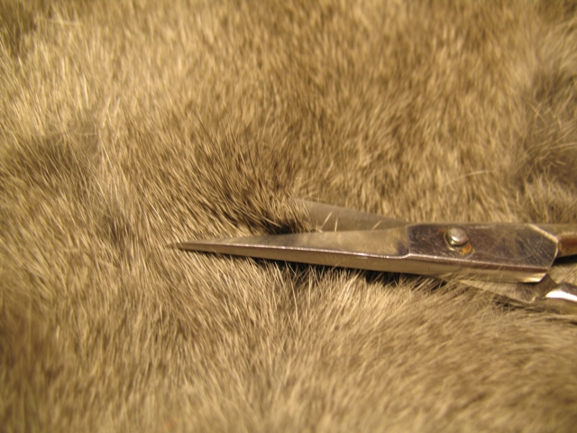 Quill Nymph