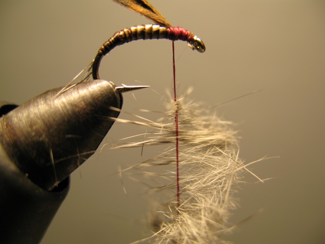 Quill Nymph