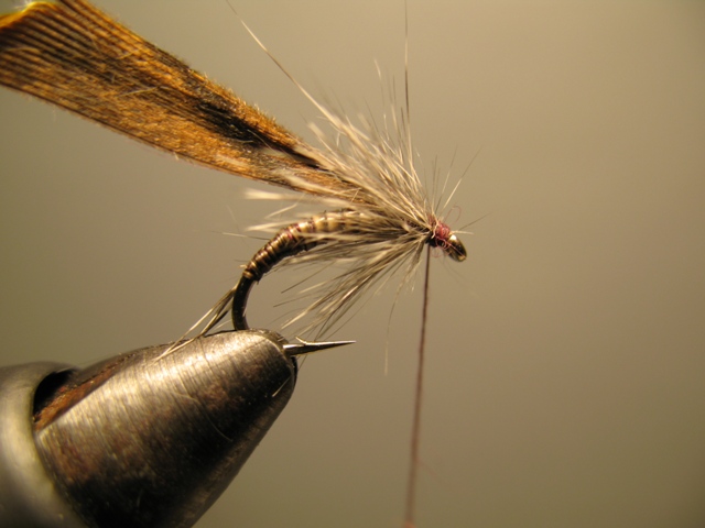 Quill Nymph
