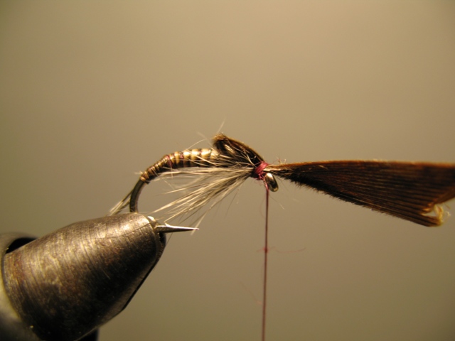 Quill Nymph