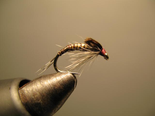 Quill Nymph