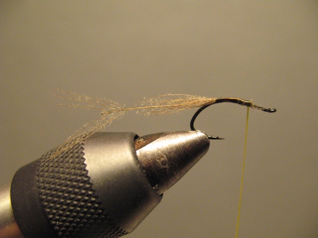 Reverse Hackle CDC Emerger