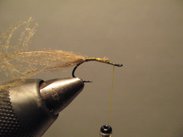 Reverse Hackle CDC Emerger