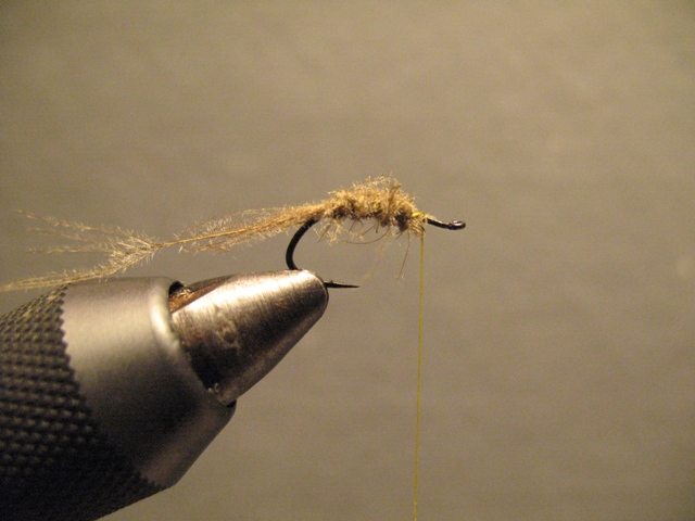 Reverse Hackle CDC Emerger