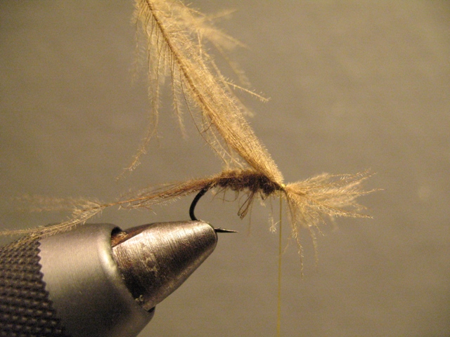 Reverse Hackle CDC Emerger