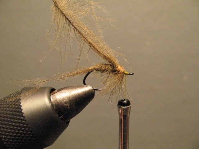 Reverse Hackle CDC Emerger