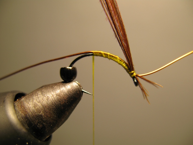Reversed Diving Nymph 