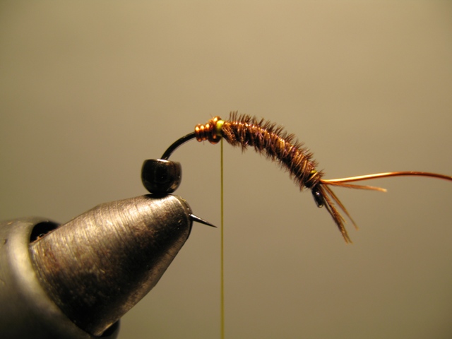 Reversed Diving Nymph 