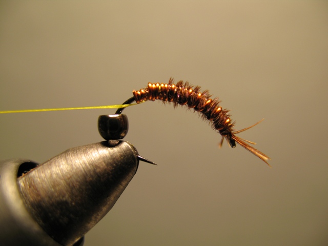 Reversed Diving Nymph 