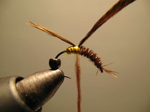 Reversed Diving Nymph 